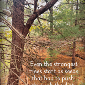 greeting card – “rooted & rising”